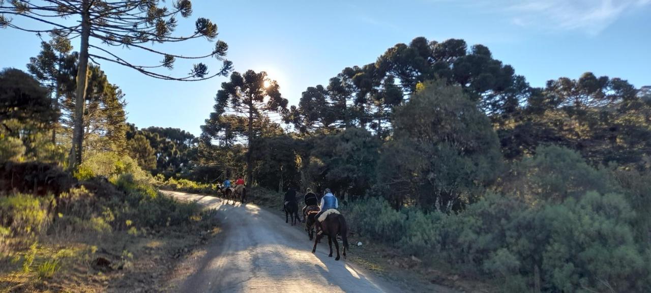 Cabanas Fazenda Rancho Alegre Urubici Mundo Novo  Ngoại thất bức ảnh